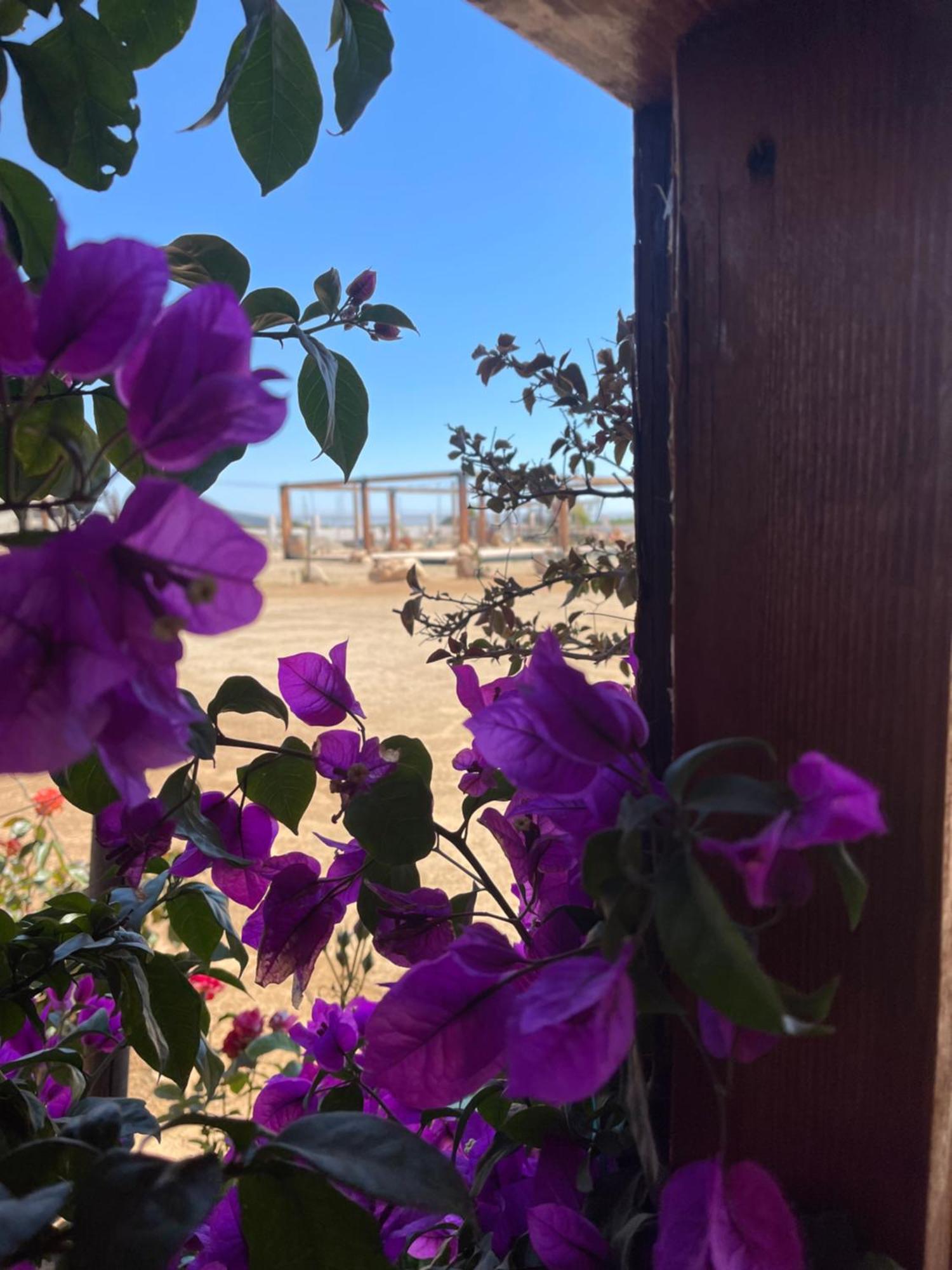 Hacienda 7 Amores El Porvenir エクステリア 写真